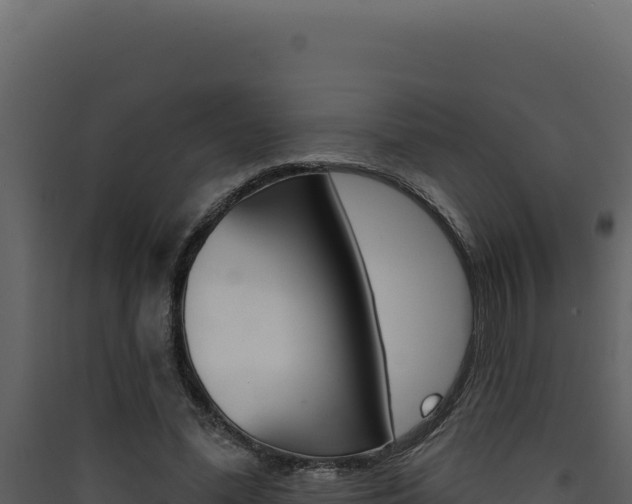 X0000090440588200707131032
