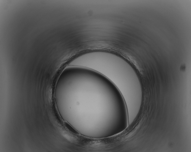 X0000090440589200707131032
