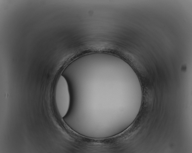 X0000090440590200707131032