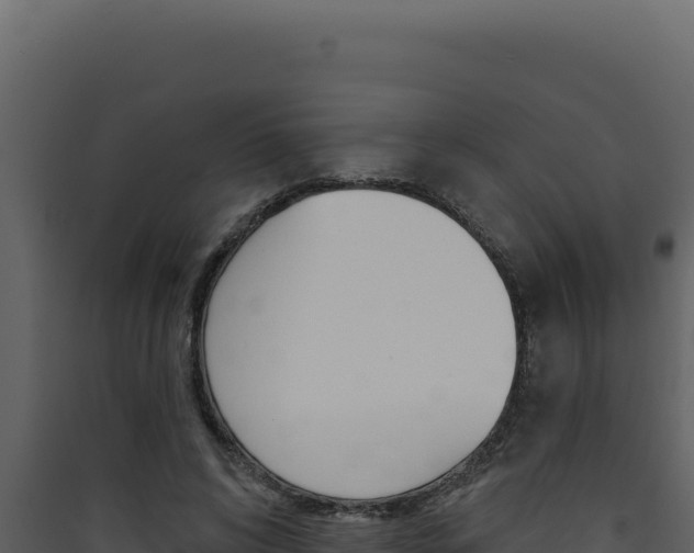 X0000090440592200707131032