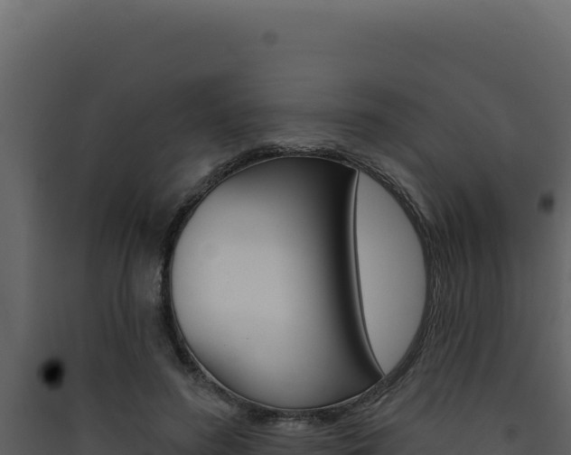 X0000090440596200707131032