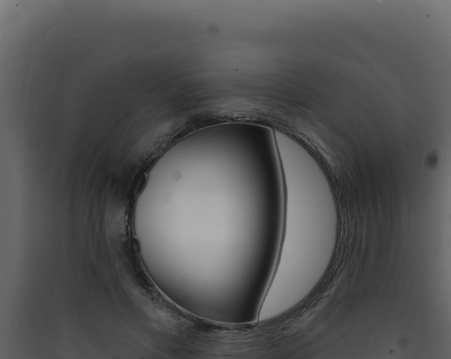 X0000090440597200707131032