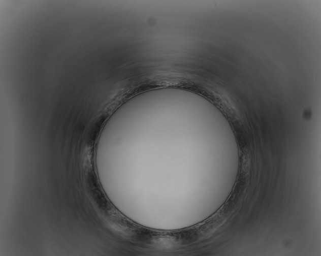X0000090440598200707131032