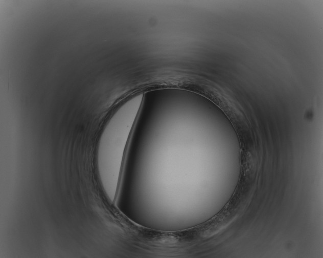 X0000090440600200707131032