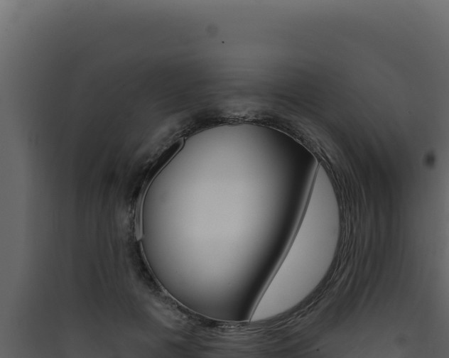 X0000090440601200707131032