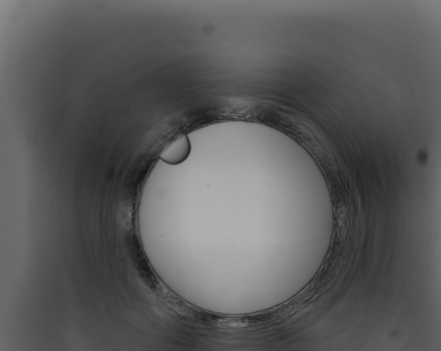 X0000090440602200707131031