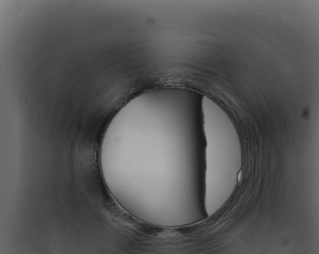 X0000090440603200707131031
