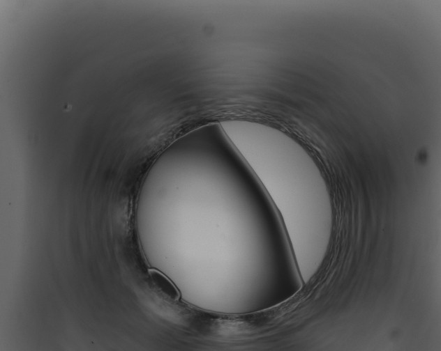 X0000090440605200707131031