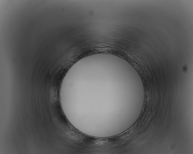 X0000090440606200707131031