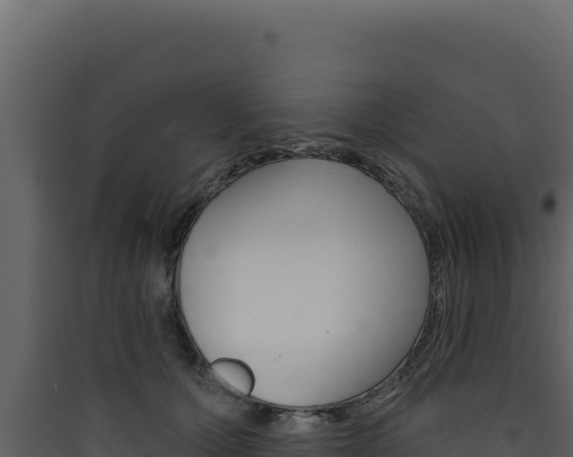 X0000090440607200707131031