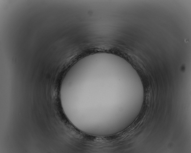 X0000090440608200707131031