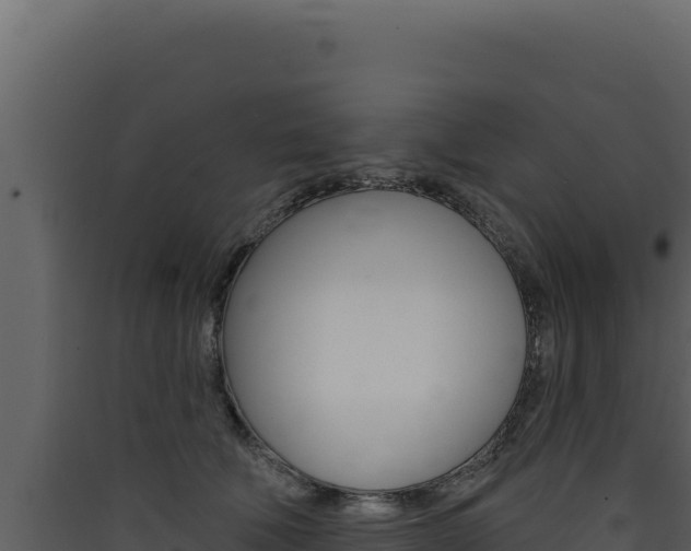 X0000090440610200707131031