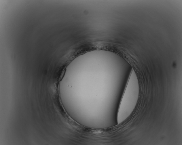 X0000090440611200707131031