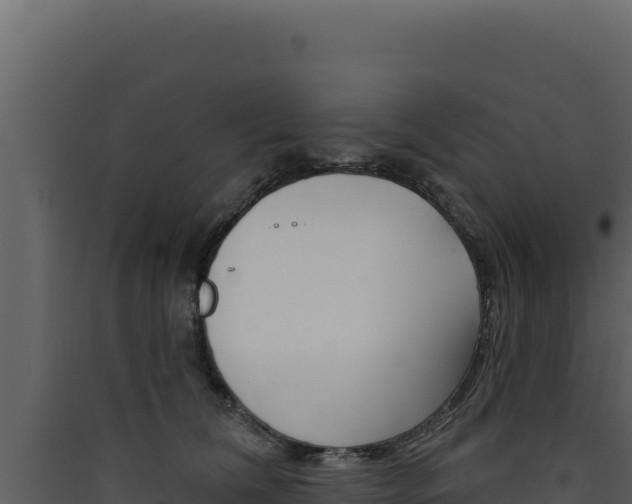 X0000090440612200707131031