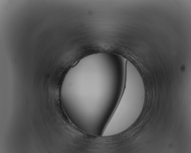 X0000090440613200707131031