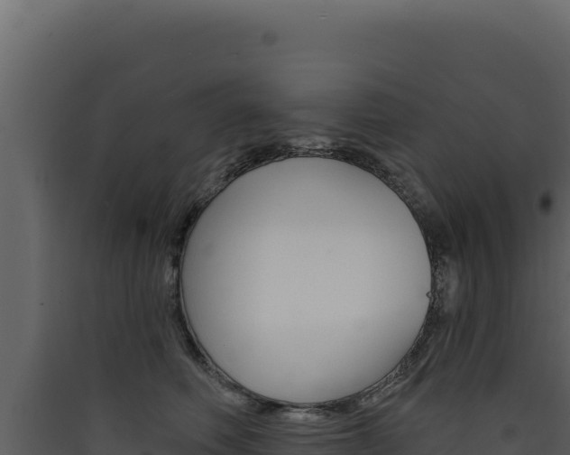 X0000090440614200707131031