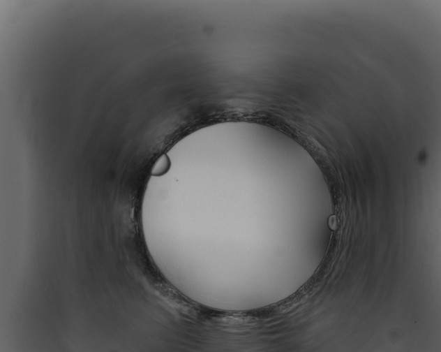 X0000090440615200707131031