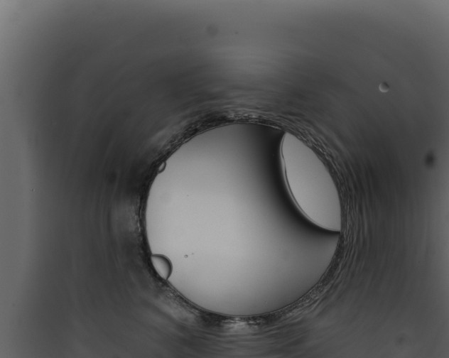 X0000090440616200707131031