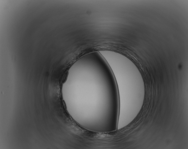 X0000090440617200707131031