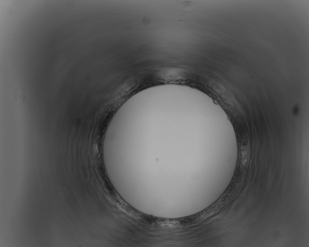 X0000090440618200707131031