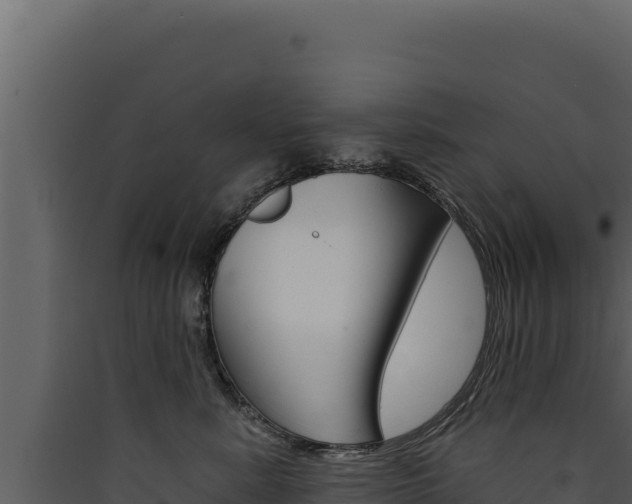 X0000090440619200707131031