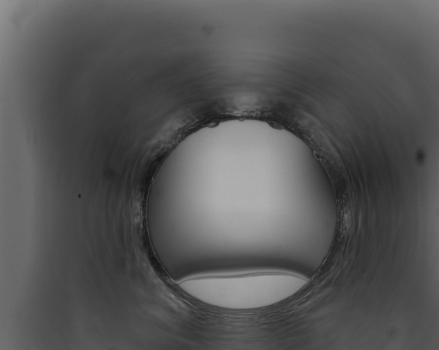 X0000090440620200707131031