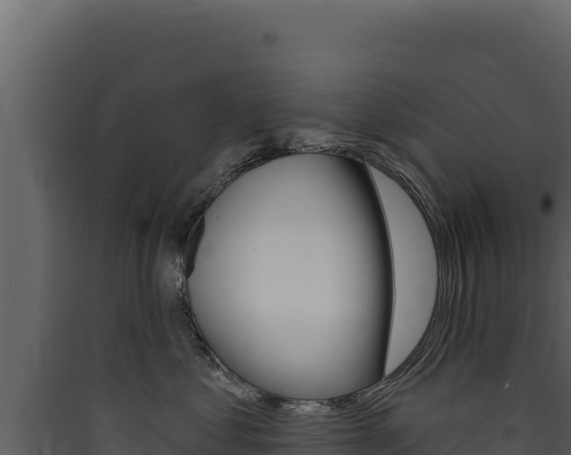 X0000090440621200707131031