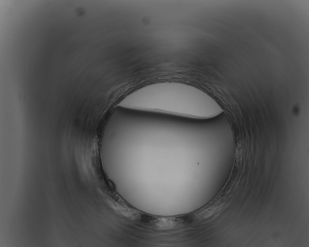 X0000090440623200707131031