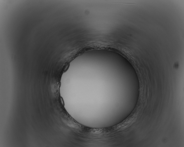 X0000090440624200707131031