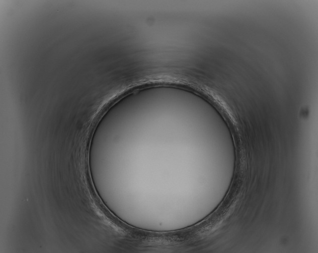 X0000090440625200707131031