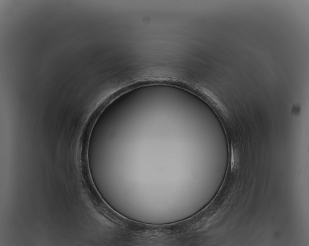 X0000090440627200707131031