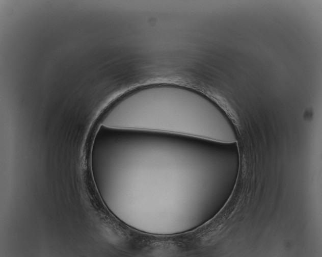 X0000090440628200707131031