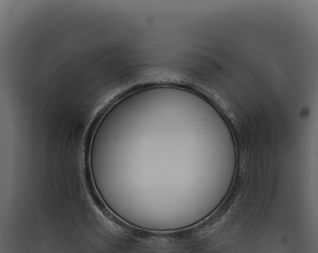 X0000090440629200707131031