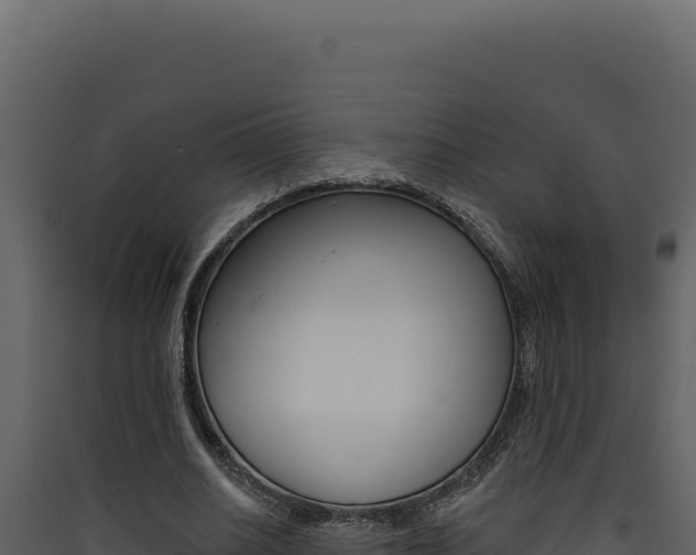 X0000090440630200707131031