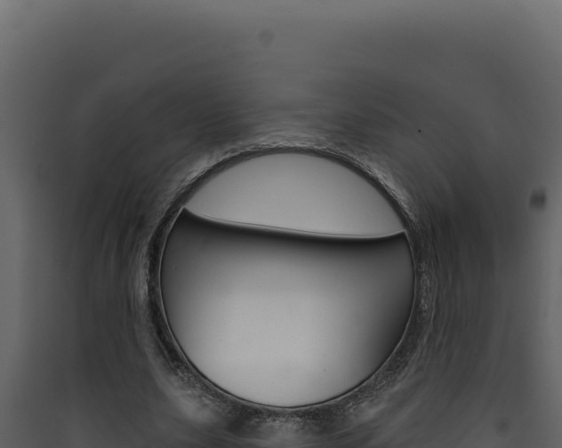 X0000090440631200707131031