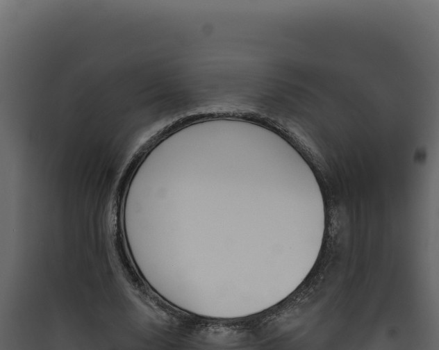 X0000090440632200707131031