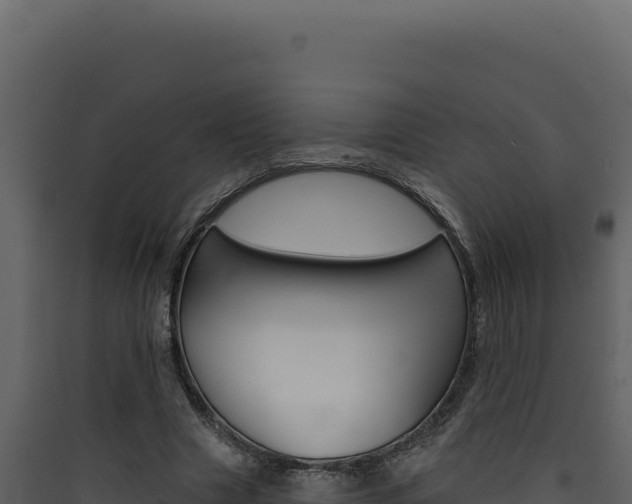 X0000090440633200707131031