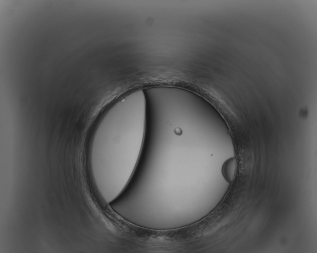 X0000090440634200707131031