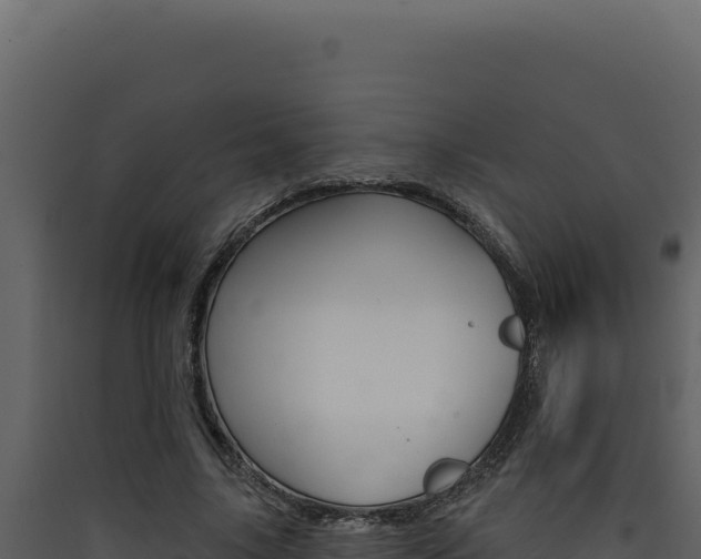 X0000090440635200707131031