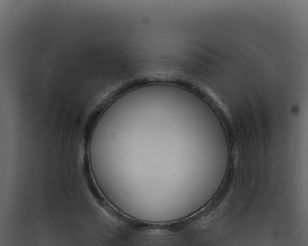 X0000090440637200707131031