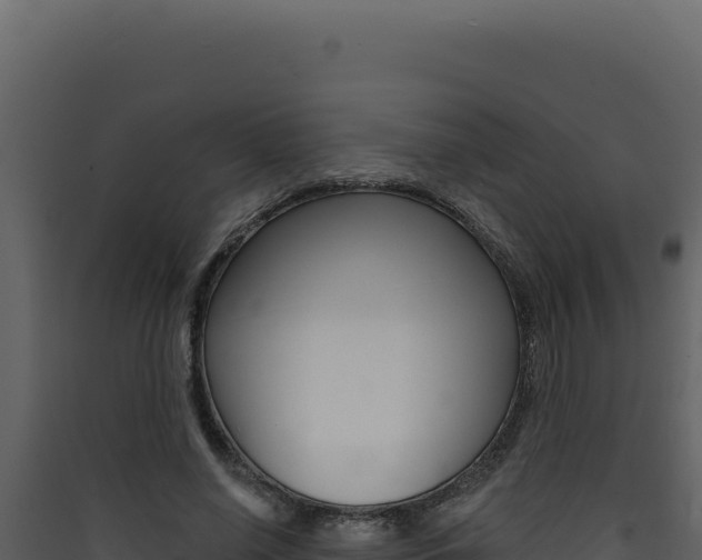 X0000090440638200707131031