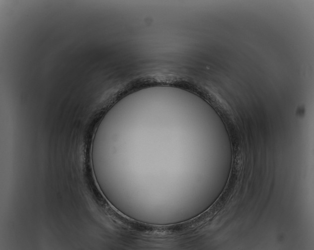 X0000090440639200707131031