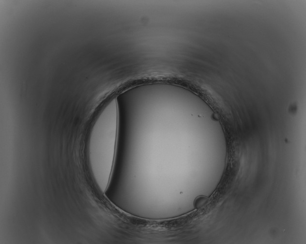 X0000090440640200707131031