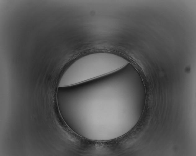 X0000090440641200707131031