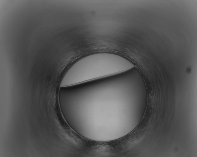 X0000090440642200707131031