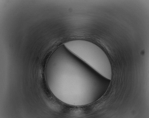 X0000090440643200707131031