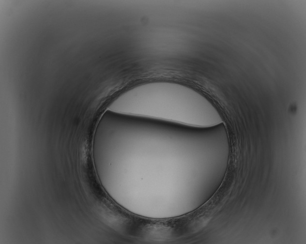 X0000090440644200707131031