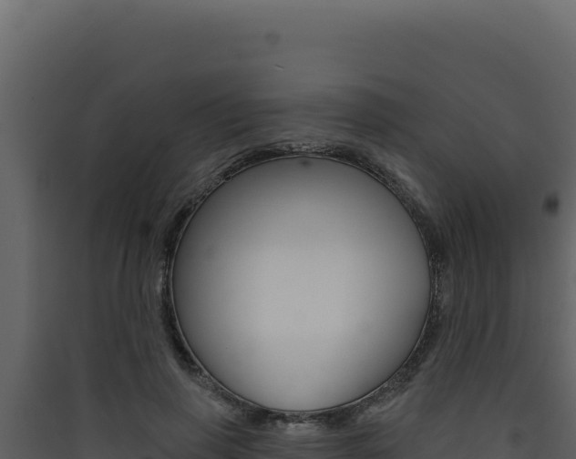 X0000090440645200707131031