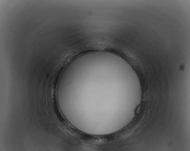 X0000090440646200707131031