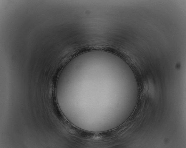 X0000090440647200707131031